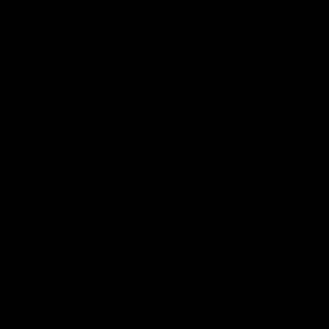 Meet your Posher, Briana